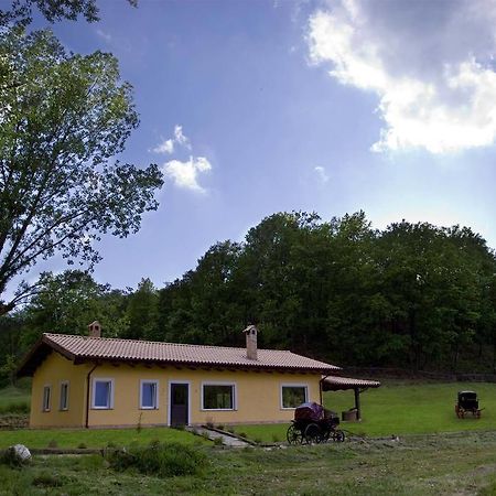 Agriturismo Borgo Serafino Мангоне Номер фото