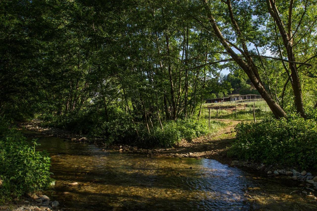 Agriturismo Borgo Serafino Мангоне Экстерьер фото