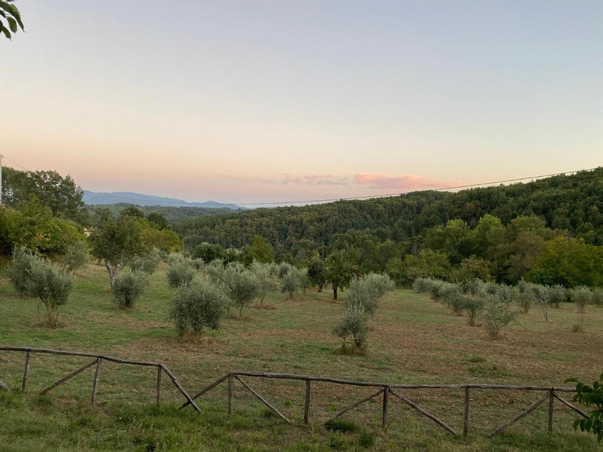 Agriturismo Borgo Serafino Мангоне Экстерьер фото